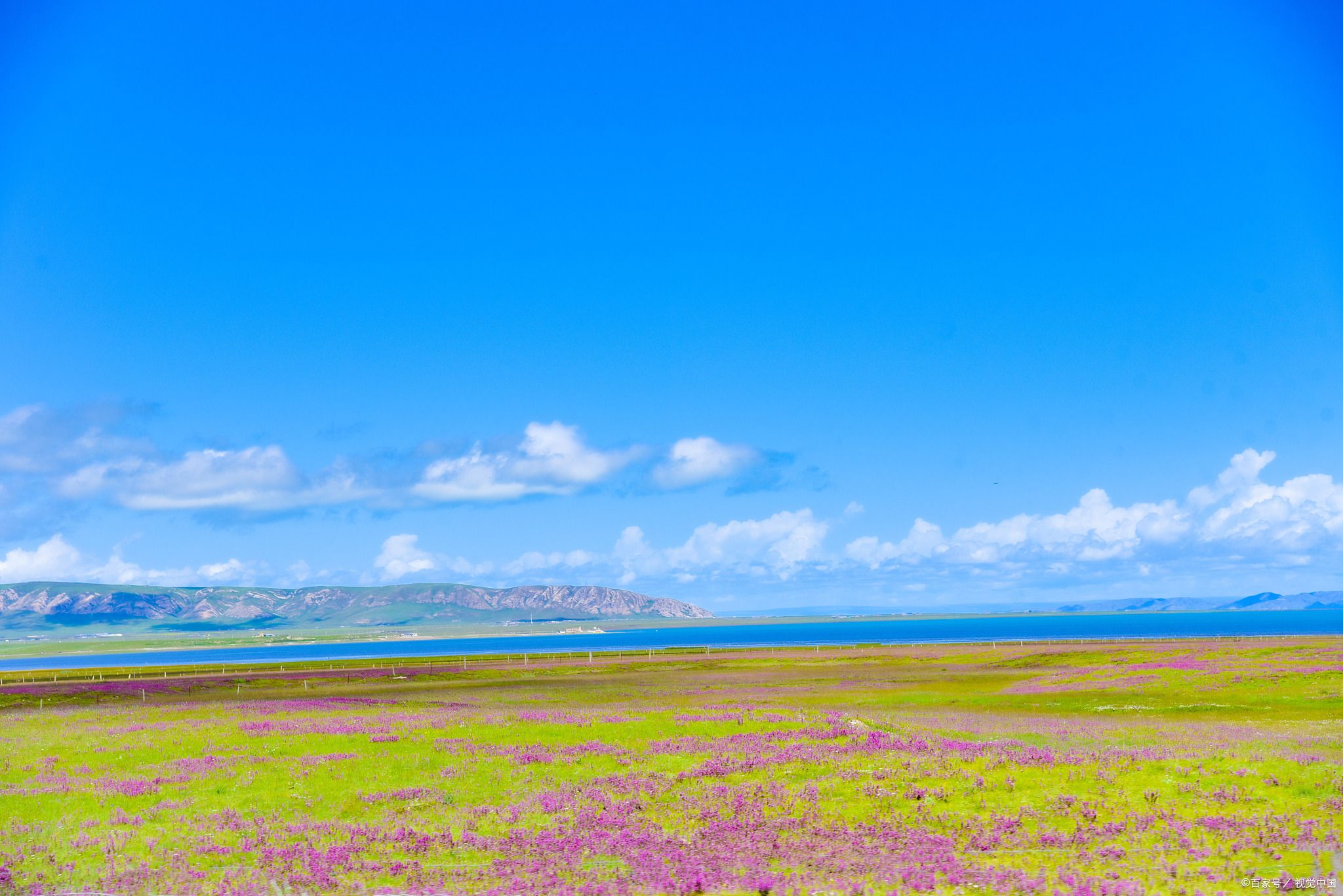 青海线当地旅行社
